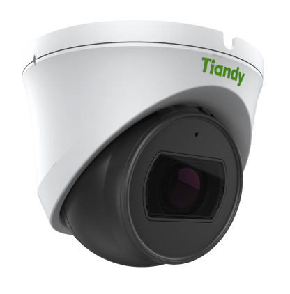 TC-C32XN Spec:I3/E/Y/2.8mm/V4.1 уличная купольная IP-камера видеонаблюдения с встроенным микрофоном Tiandy