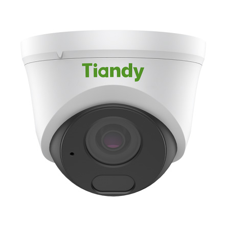 TC-C34HN Spec:I3/E/Y/C/2.8mm/V4.2 уличная купольная IP-камера видеонаблюдения с встроенным микрофоном Tiandy