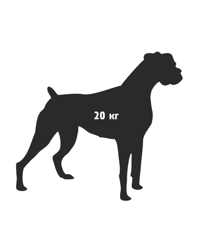 Астра-5121 ИК извещатель охранный оптико-электронный радиоканальный