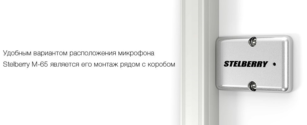 Stelberry_M65-6