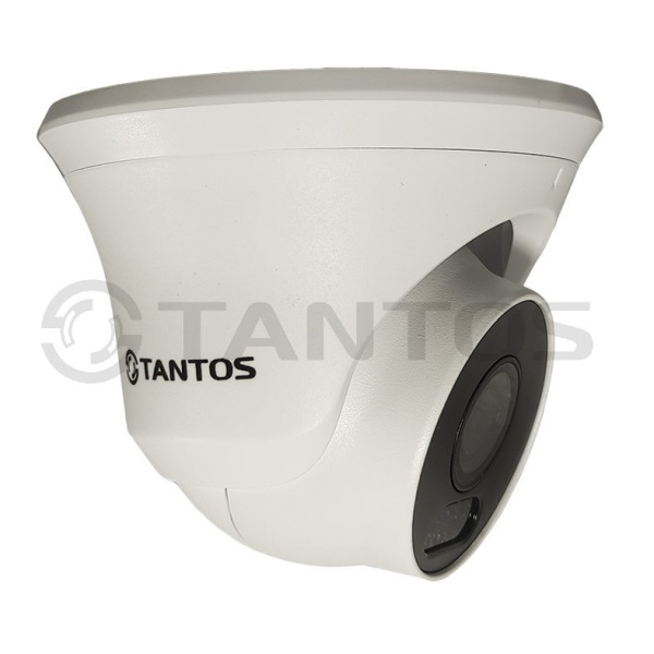 TSi-Beco25FP уличная купольная всепогодная IP-камера видеонаблюдения с встроенным микрофоном Tantos