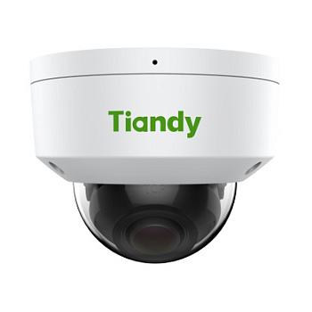 TC-C34KN Spec:I3/A/E/Y/2.8-12mm/V4.2 уличная купольная IP-камера видеонаблюдения с встроенным микрофоном Tiandy