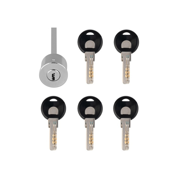 DL11 (ver. 4401) электромеханический замок NOVIcam