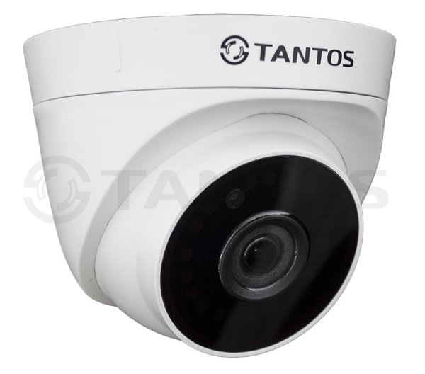 TSi-Eeco25FP купольная внутренняя IP-камера видеонаблюдения Tantos