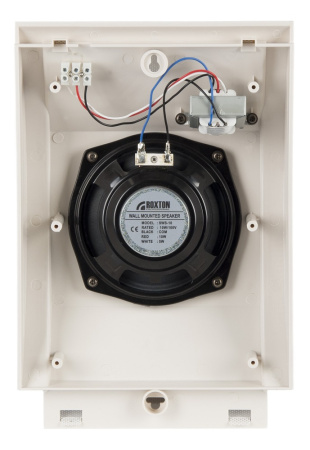 SWS-10 (ROXTON) громкоговоритель настенный