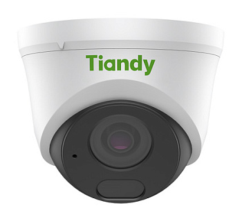 TC-C32HN Spec:I3/E/Y/C/2.8mm/V4.2 уличная купольная IP-камера видеонаблюдения с встроенным микрофоном Tiandy