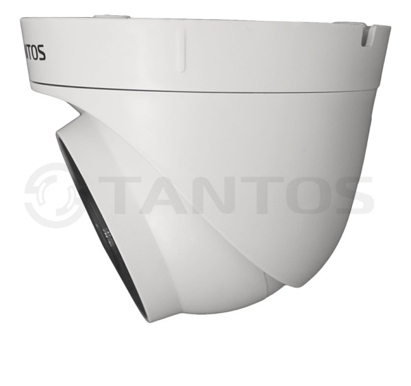 TSi-Eeco25FP купольная внутренняя IP-камера видеонаблюдения Tantos